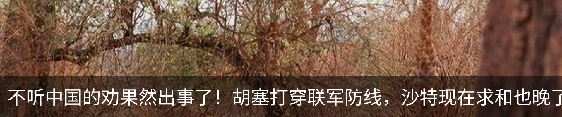 新闻动态