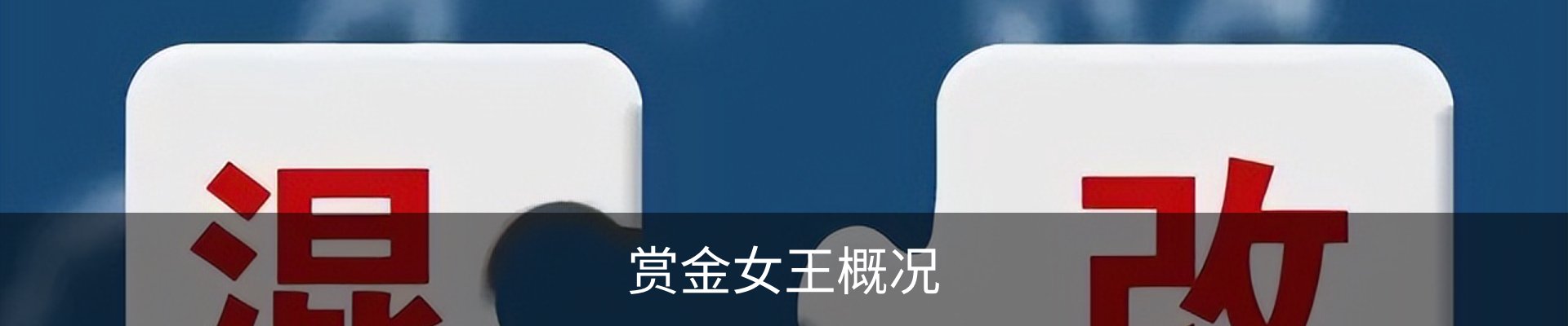赏金女王概况